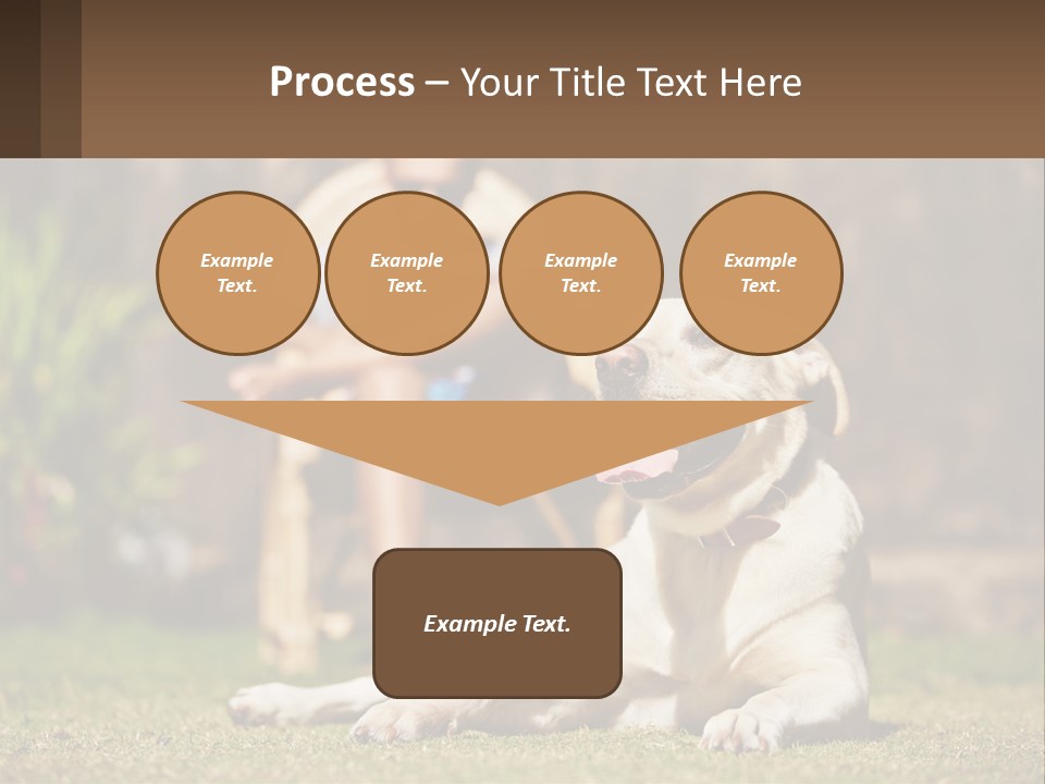 A Man Sitting In A Chair Next To A Dog PowerPoint Template