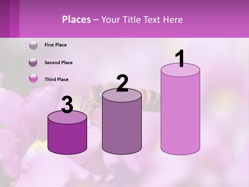A Bee On A Flower Powerpoint Template PowerPoint Template