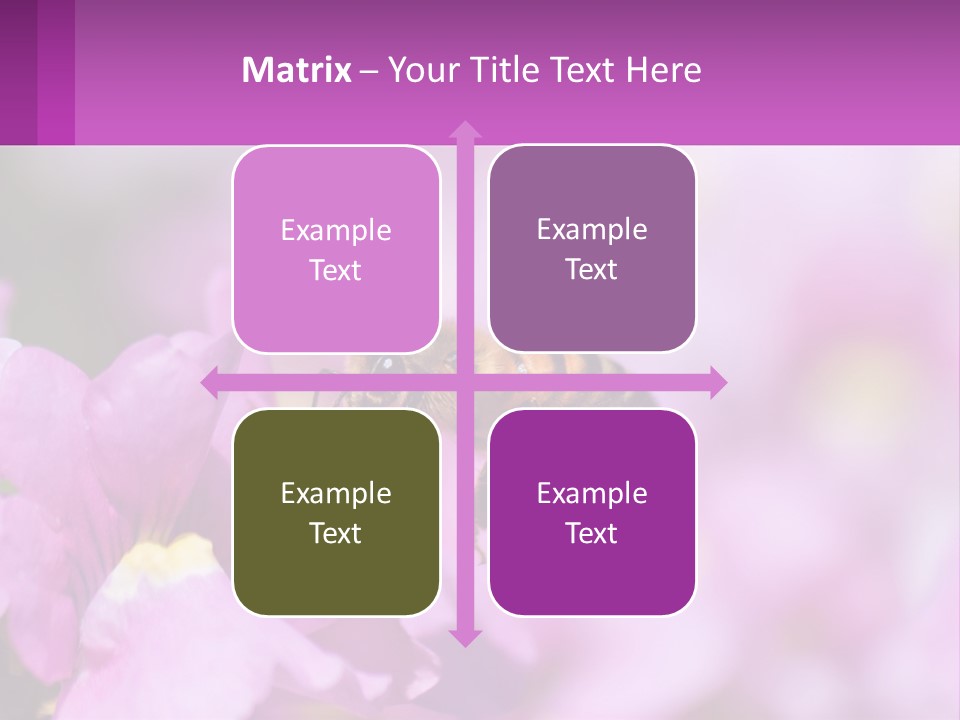 A Bee On A Flower Powerpoint Template PowerPoint Template