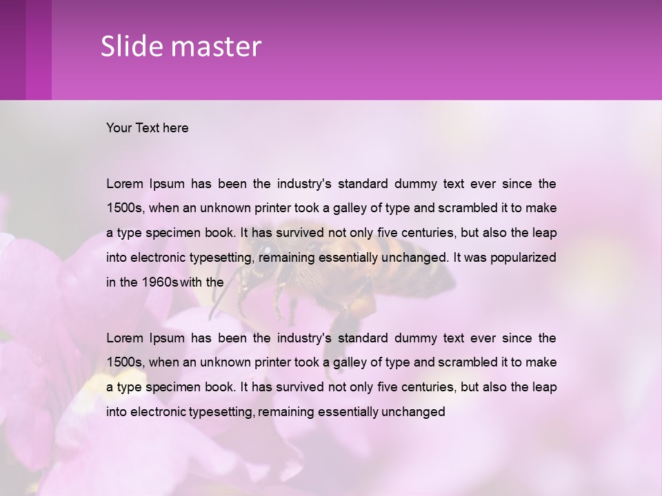 A Bee On A Flower Powerpoint Template PowerPoint Template