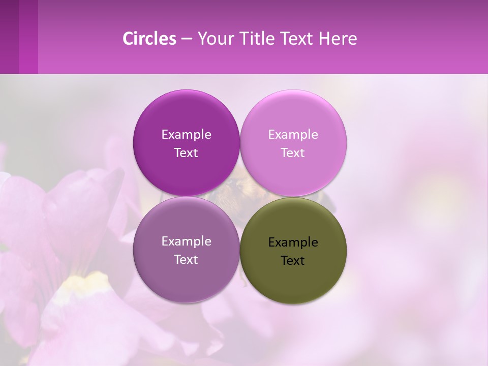 A Bee On A Flower Powerpoint Template PowerPoint Template