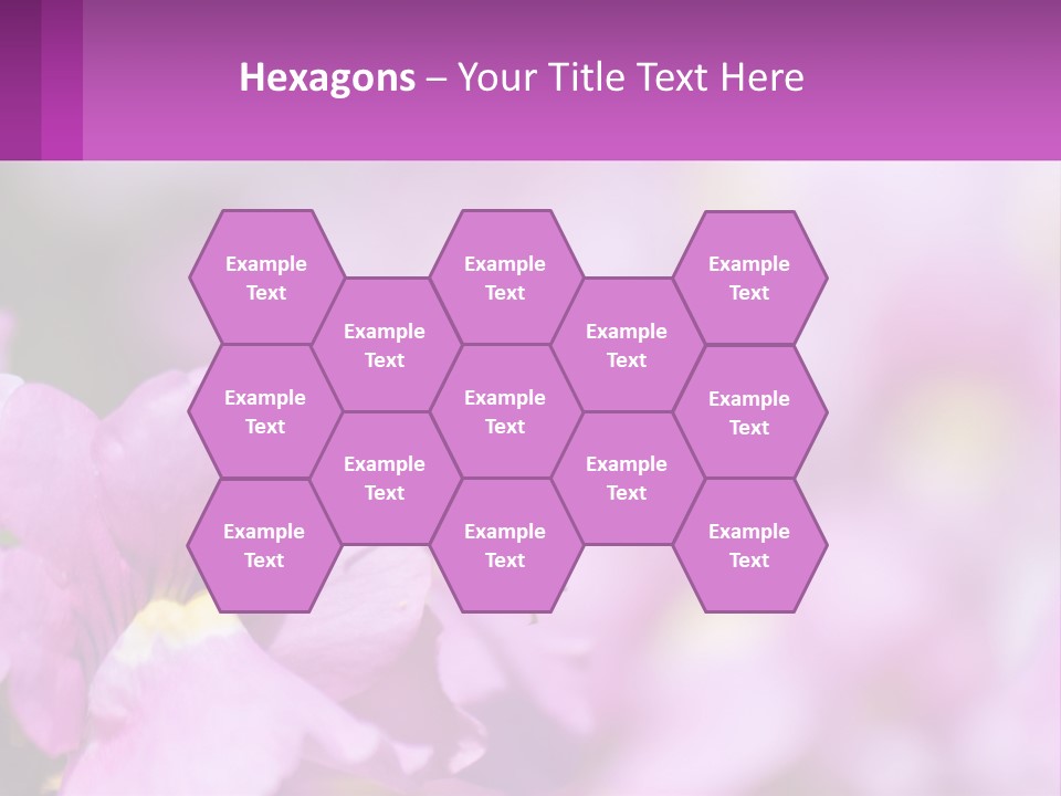 A Bee On A Flower Powerpoint Template PowerPoint Template