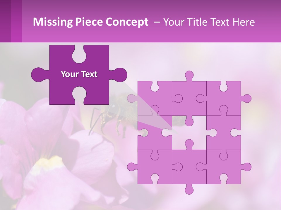 A Bee On A Flower Powerpoint Template PowerPoint Template