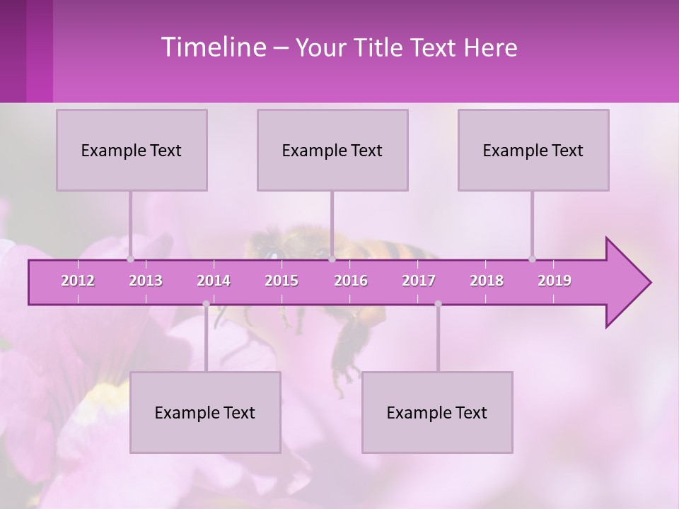 A Bee On A Flower Powerpoint Template PowerPoint Template