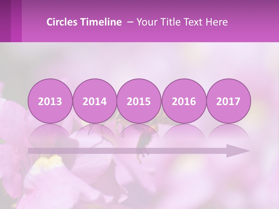 A Bee On A Flower Powerpoint Template PowerPoint Template