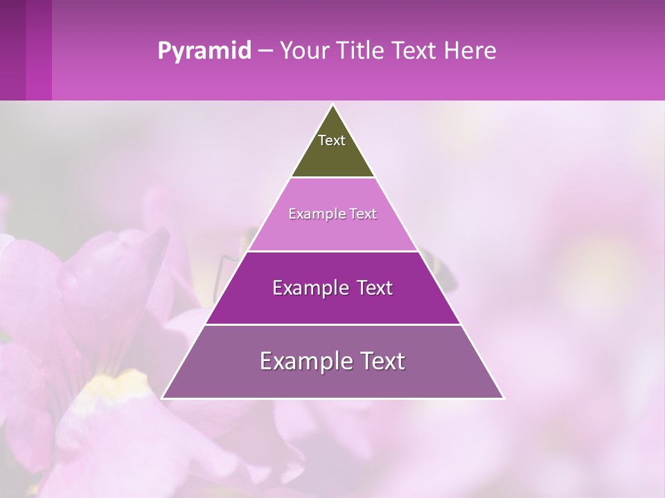 A Bee On A Flower Powerpoint Template PowerPoint Template