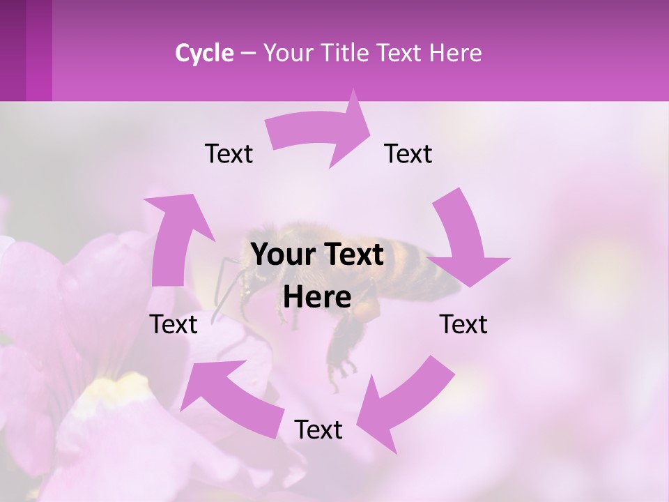 A Bee On A Flower Powerpoint Template PowerPoint Template