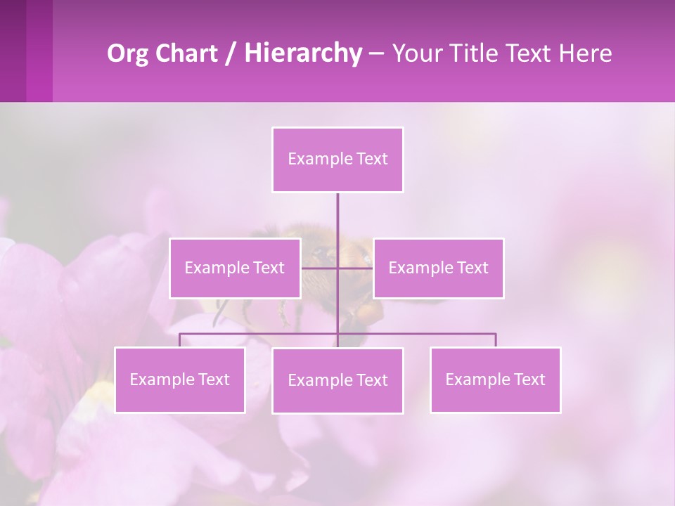 A Bee On A Flower Powerpoint Template PowerPoint Template