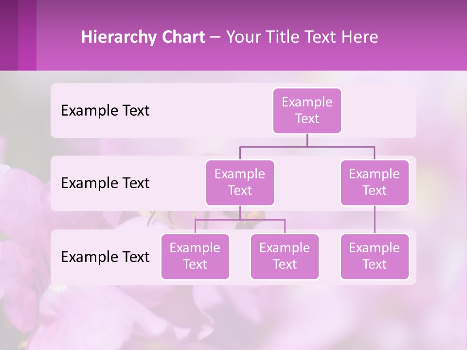 A Bee On A Flower Powerpoint Template PowerPoint Template