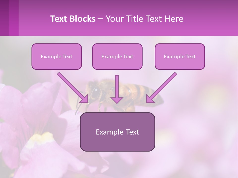 A Bee On A Flower Powerpoint Template PowerPoint Template