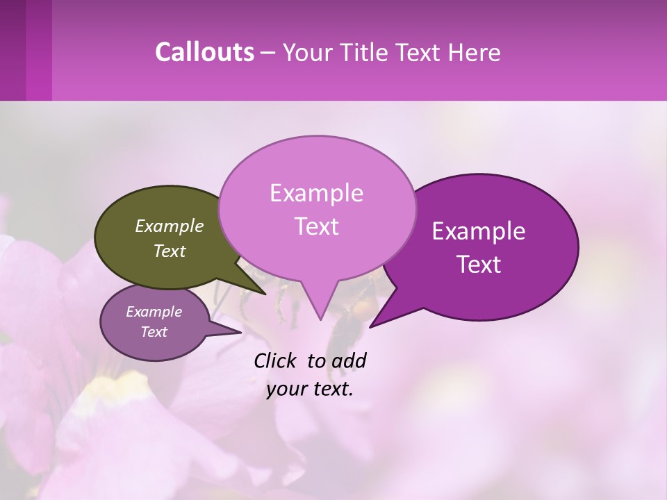 A Bee On A Flower Powerpoint Template PowerPoint Template