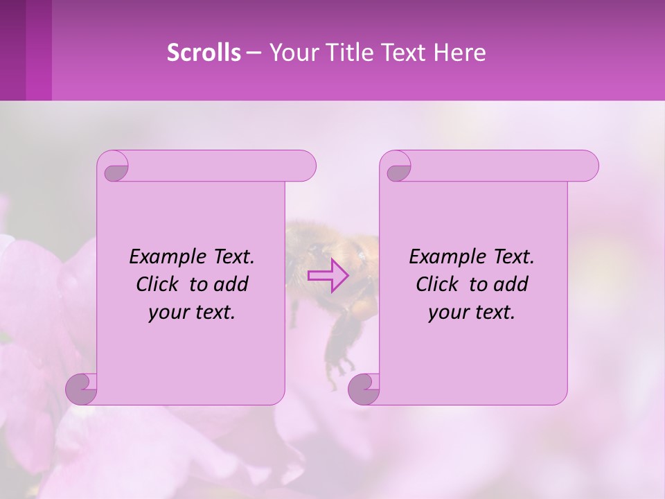A Bee On A Flower Powerpoint Template PowerPoint Template