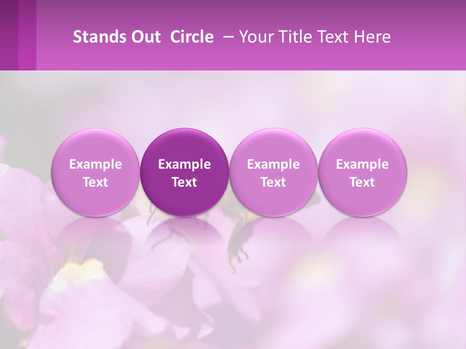 A Bee On A Flower Powerpoint Template PowerPoint Template