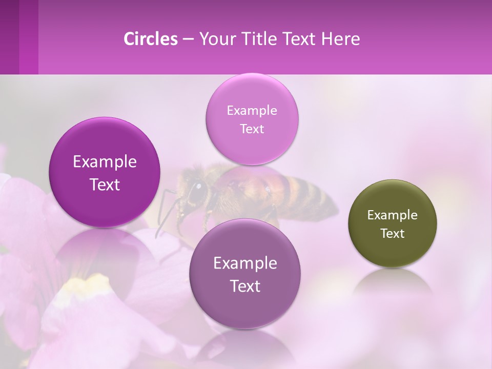 A Bee On A Flower Powerpoint Template PowerPoint Template
