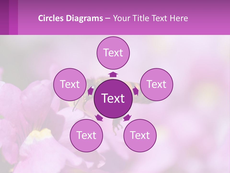 A Bee On A Flower Powerpoint Template PowerPoint Template