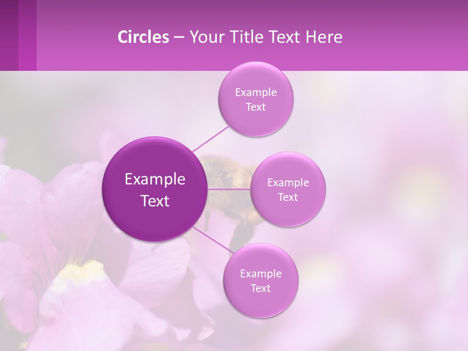 A Bee On A Flower Powerpoint Template PowerPoint Template