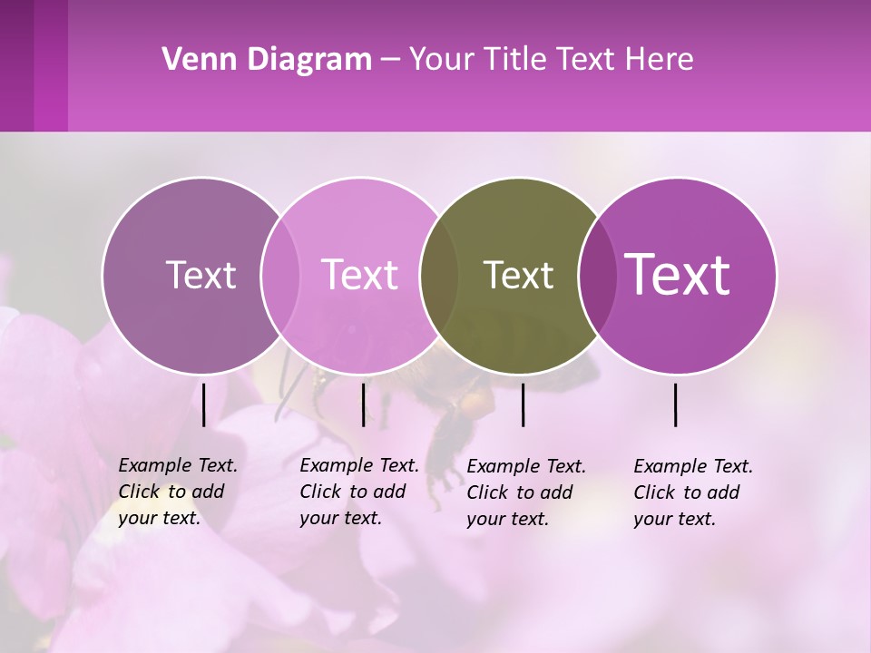 A Bee On A Flower Powerpoint Template PowerPoint Template