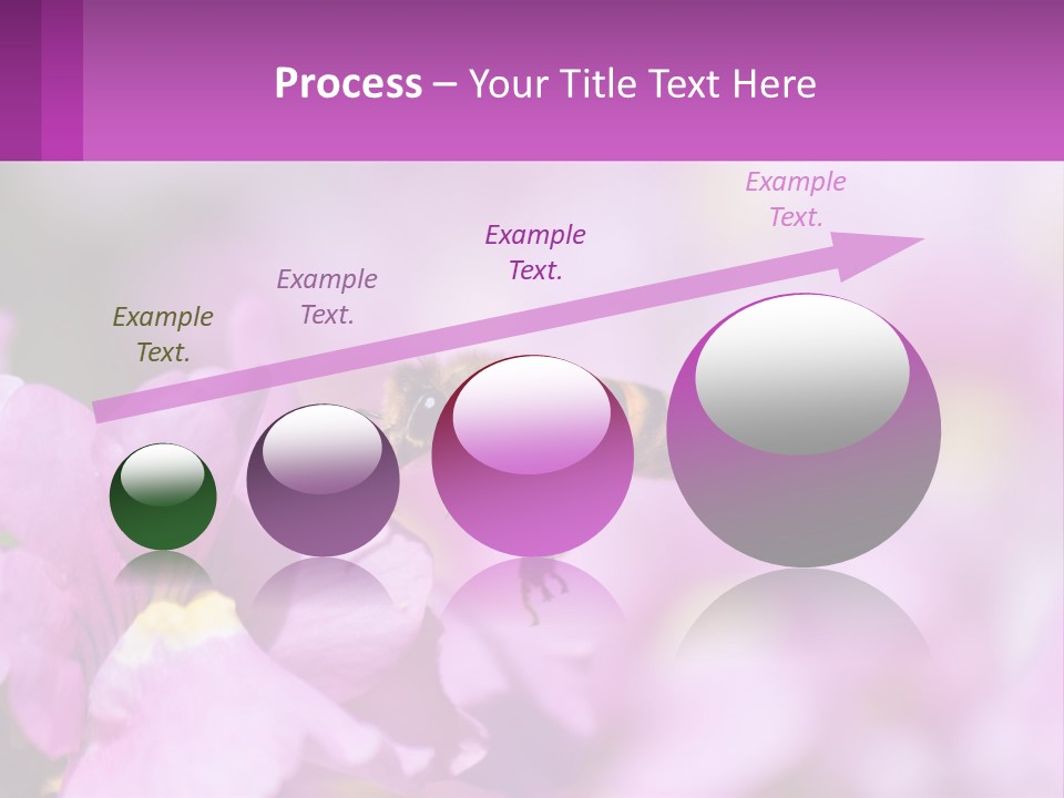 A Bee On A Flower Powerpoint Template PowerPoint Template