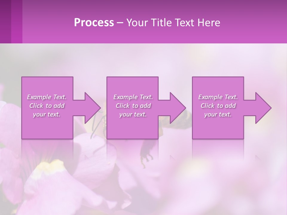 A Bee On A Flower Powerpoint Template PowerPoint Template
