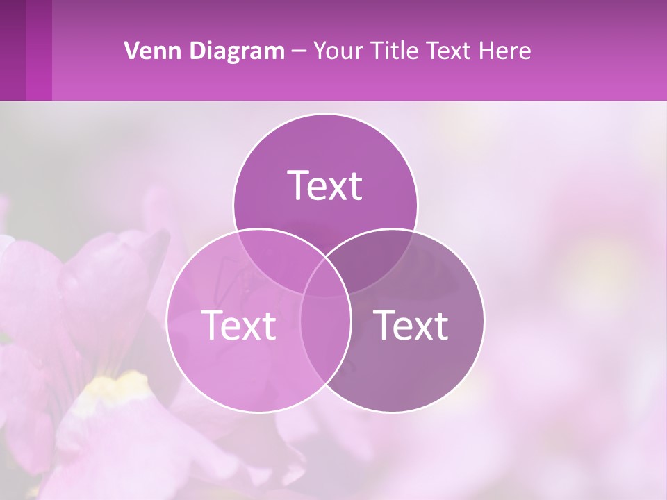 A Bee On A Flower Powerpoint Template PowerPoint Template