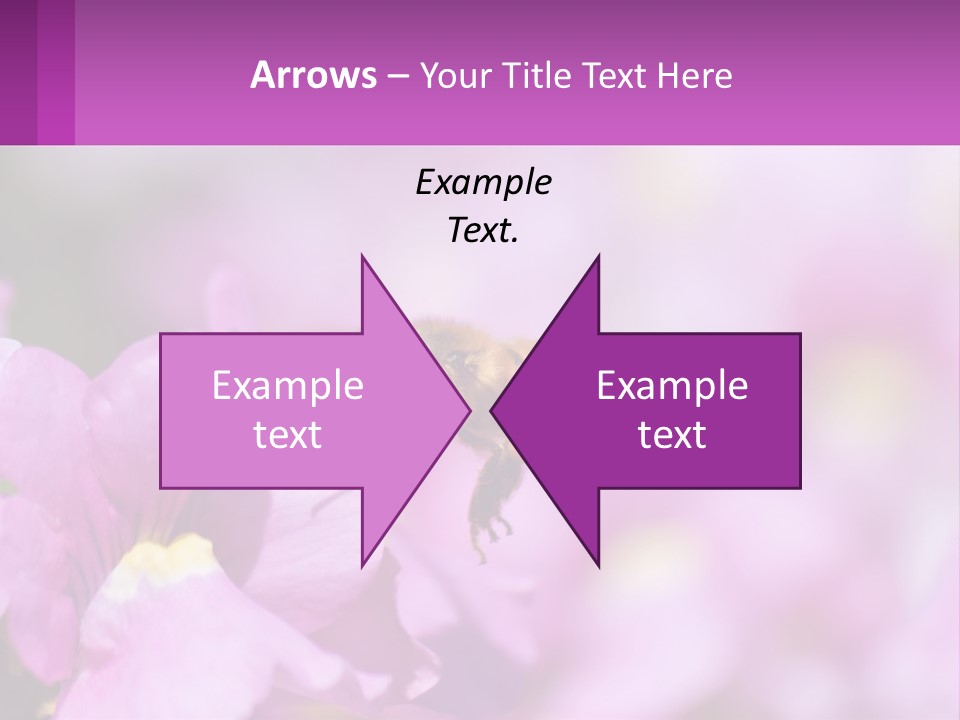 A Bee On A Flower Powerpoint Template PowerPoint Template