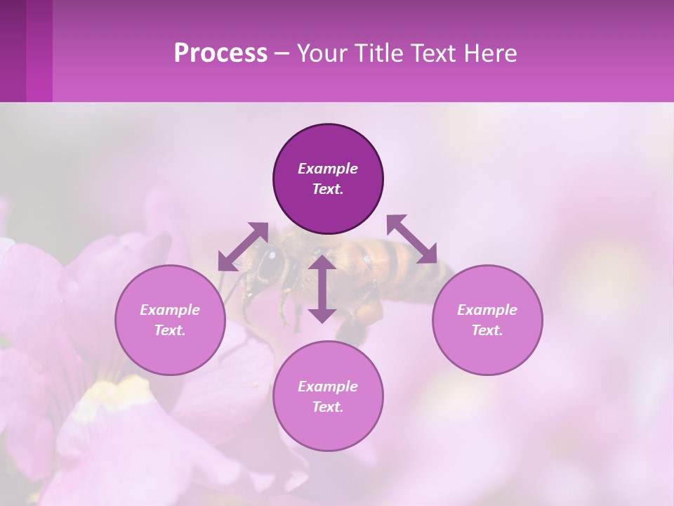 A Bee On A Flower Powerpoint Template PowerPoint Template
