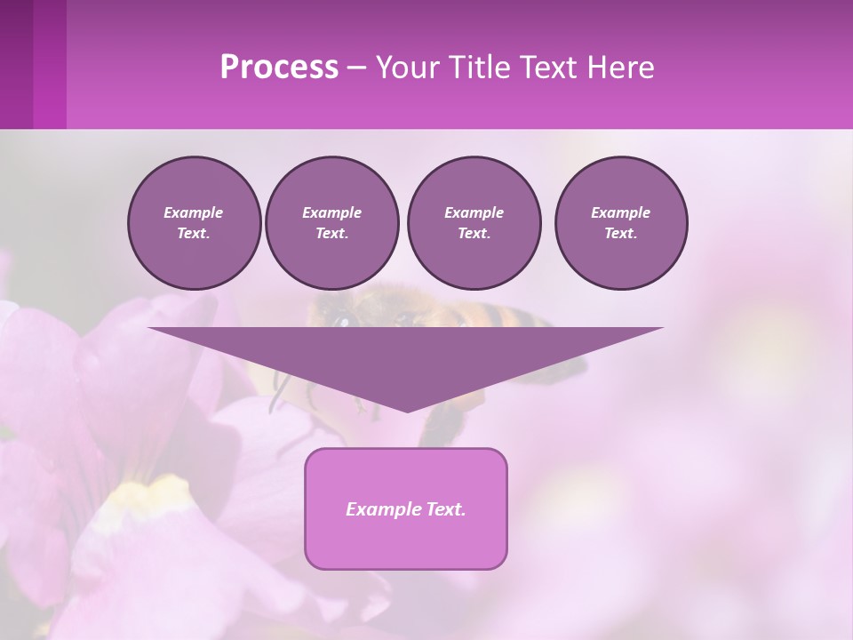 A Bee On A Flower Powerpoint Template PowerPoint Template