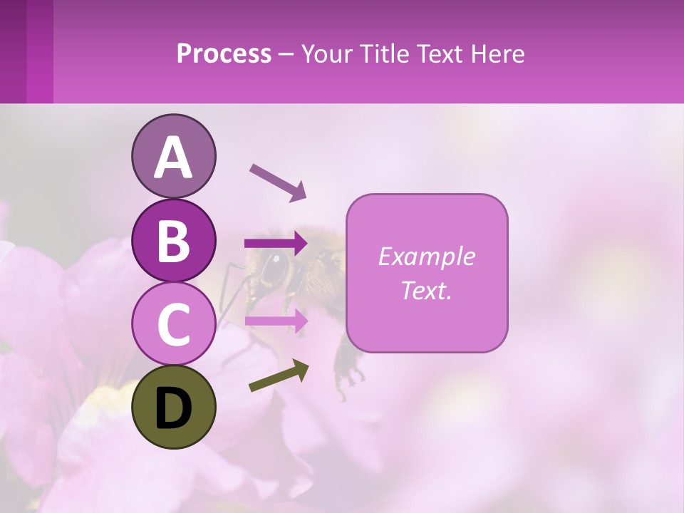 A Bee On A Flower Powerpoint Template PowerPoint Template