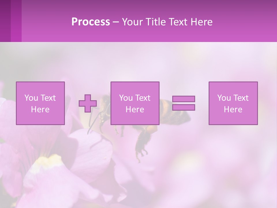 A Bee On A Flower Powerpoint Template PowerPoint Template