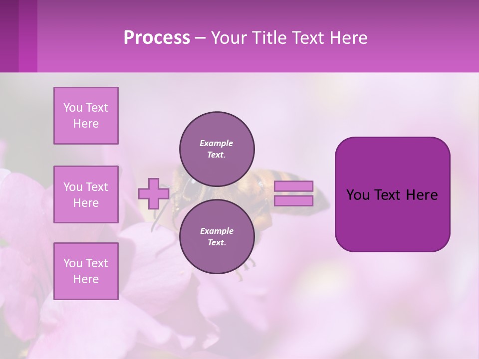 A Bee On A Flower Powerpoint Template PowerPoint Template