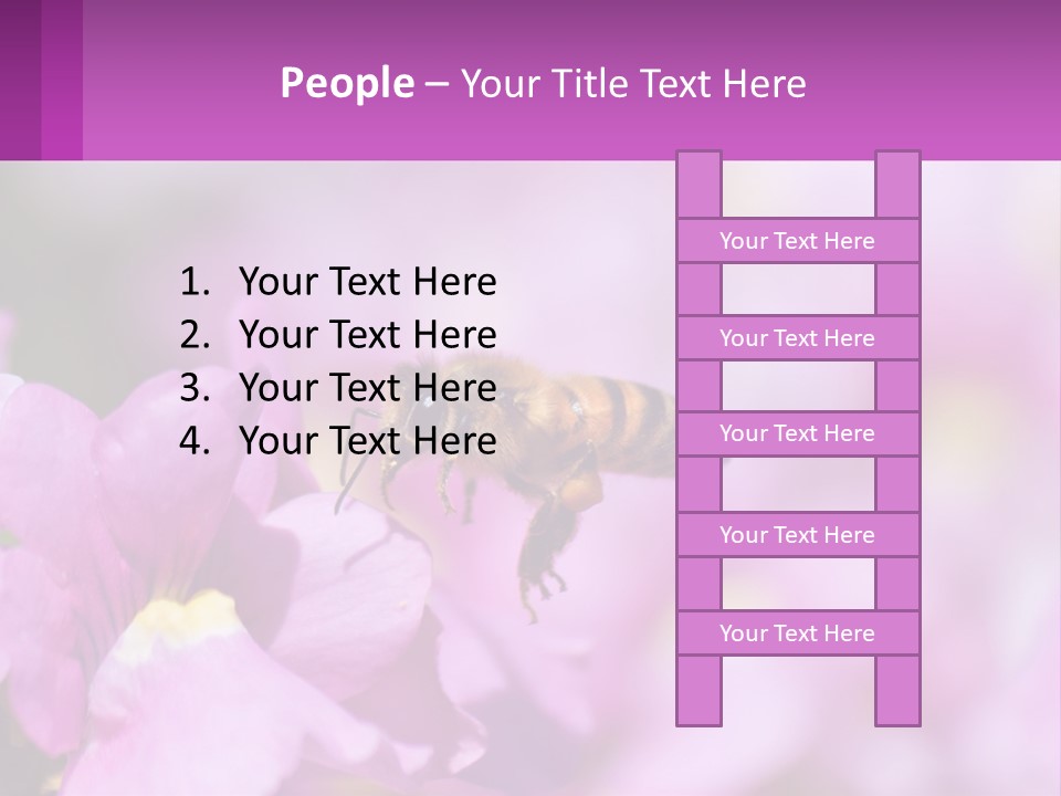 A Bee On A Flower Powerpoint Template PowerPoint Template