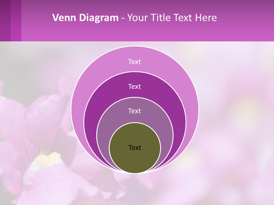 A Bee On A Flower Powerpoint Template PowerPoint Template