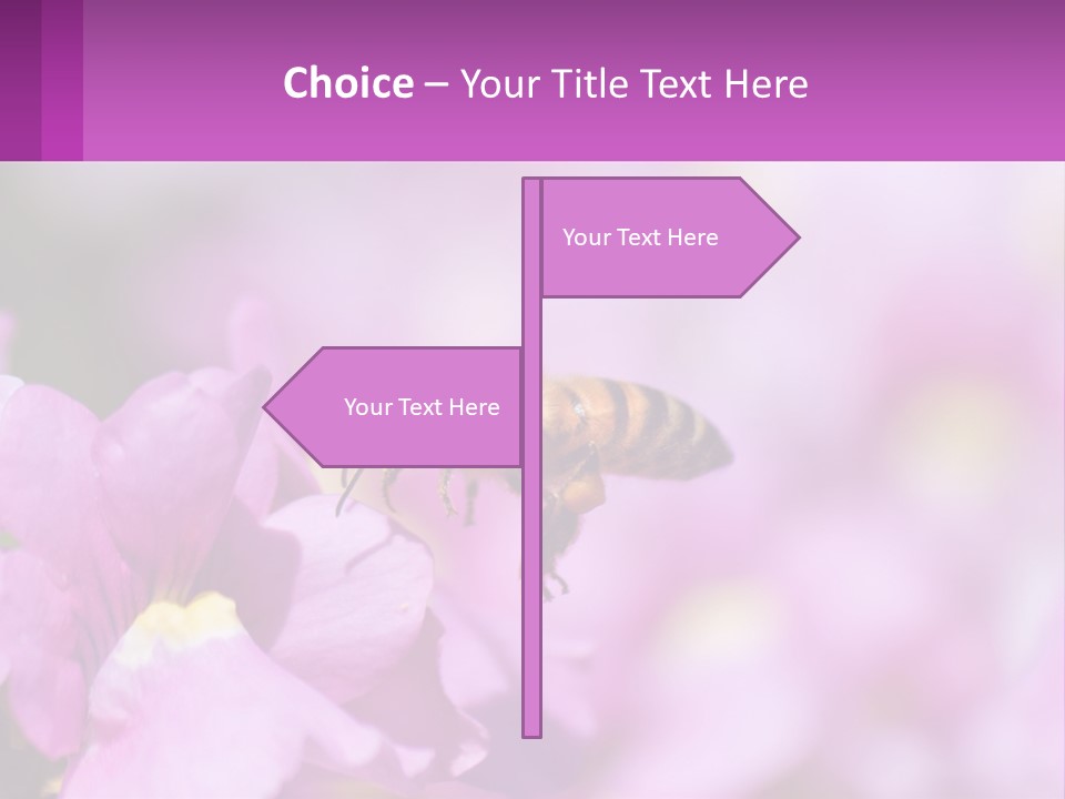 A Bee On A Flower Powerpoint Template PowerPoint Template