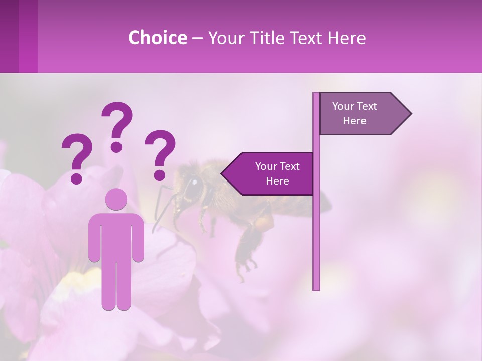 A Bee On A Flower Powerpoint Template PowerPoint Template