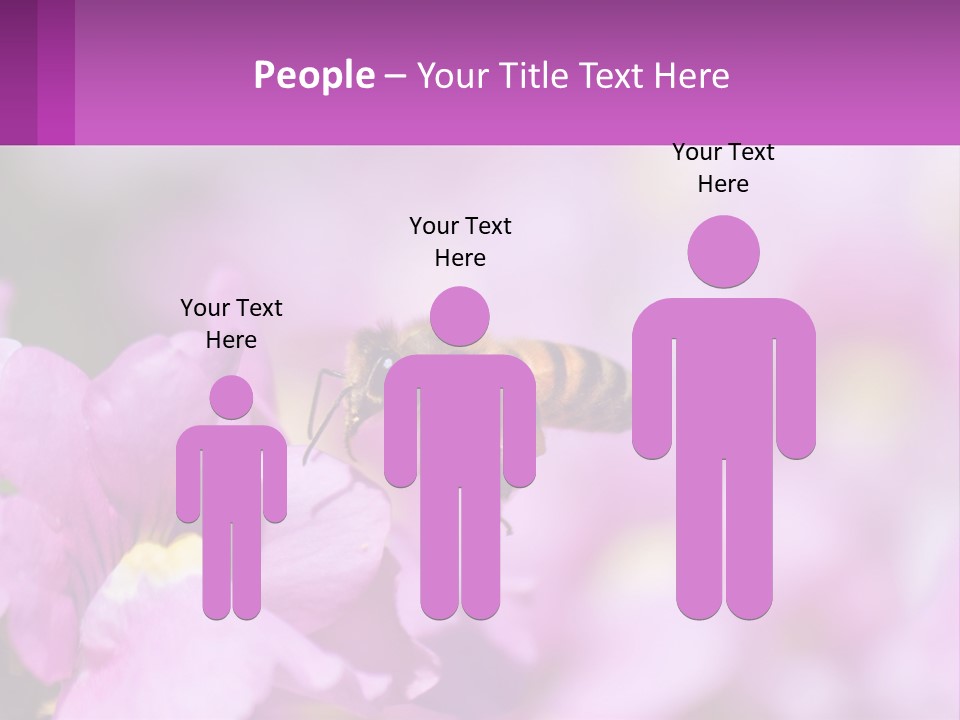 A Bee On A Flower Powerpoint Template PowerPoint Template