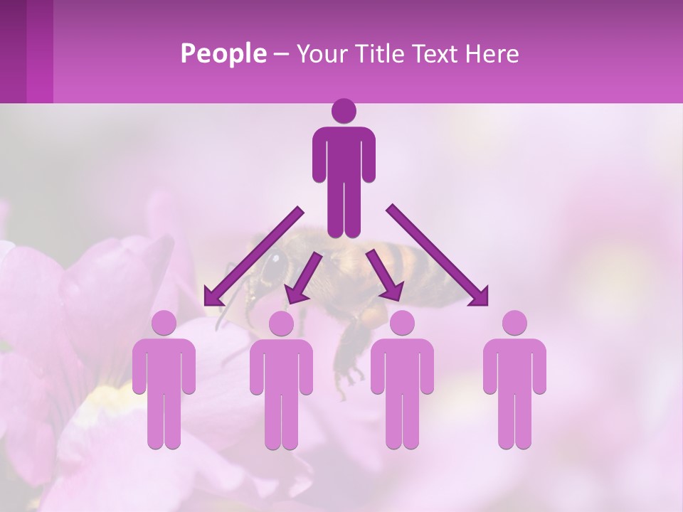 A Bee On A Flower Powerpoint Template PowerPoint Template