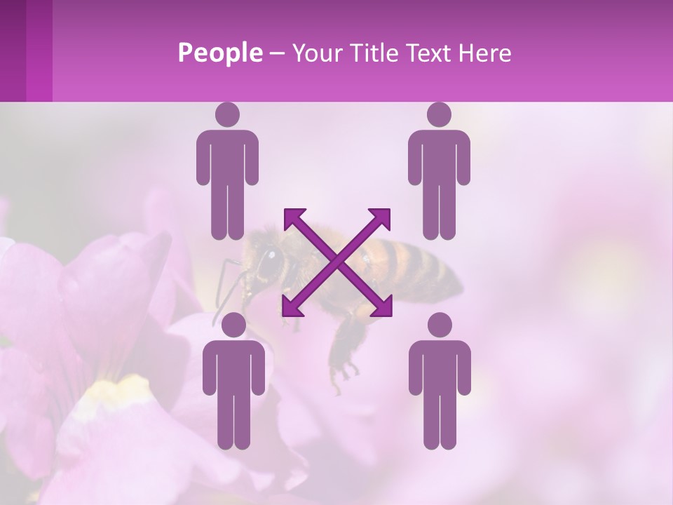 A Bee On A Flower Powerpoint Template PowerPoint Template