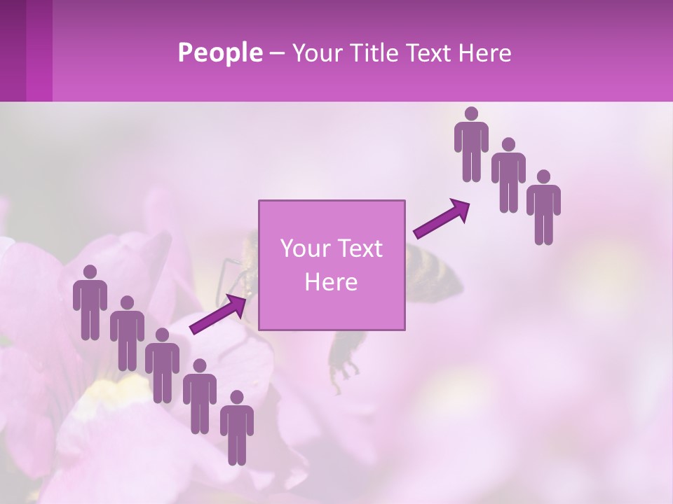 A Bee On A Flower Powerpoint Template PowerPoint Template