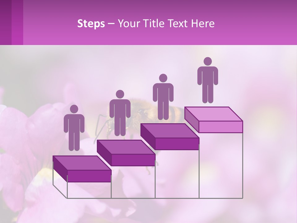 A Bee On A Flower Powerpoint Template PowerPoint Template