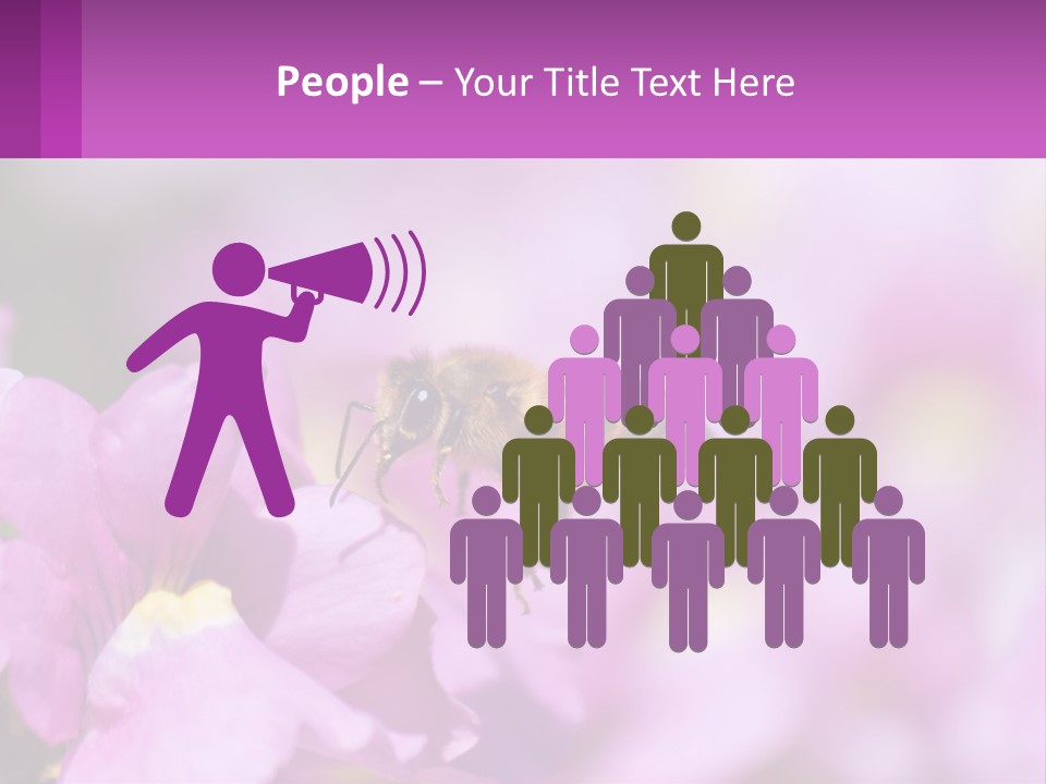 A Bee On A Flower Powerpoint Template PowerPoint Template