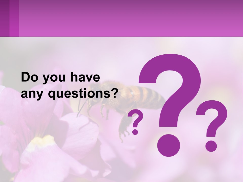 A Bee On A Flower Powerpoint Template PowerPoint Template