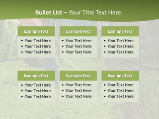 A Man Is Mowing The Grass With A Lawn Mower PowerPoint Template