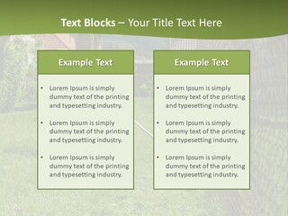 A Man Is Mowing The Grass With A Lawn Mower PowerPoint Template