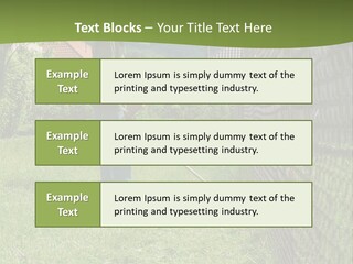 A Man Is Mowing The Grass With A Lawn Mower PowerPoint Template