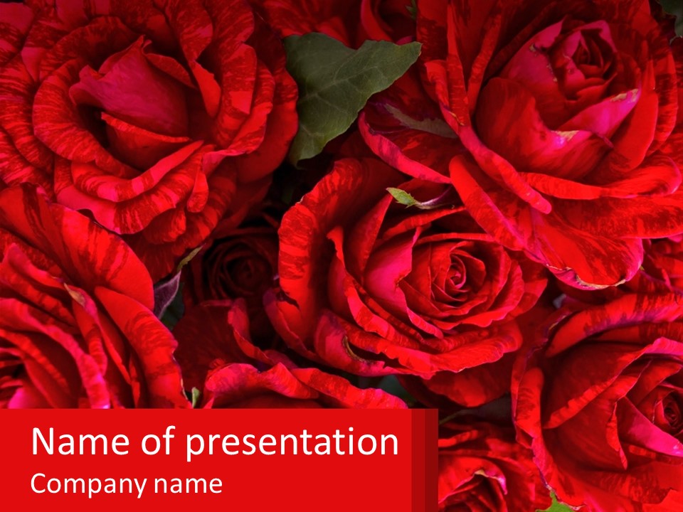 A Bunch Of Red Roses With Green Leaves PowerPoint Template