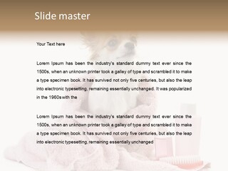 A Small Dog Is Wrapped In A Pink Towel PowerPoint Template