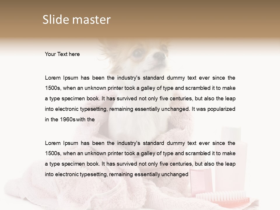 A Small Dog Is Wrapped In A Pink Towel PowerPoint Template