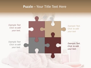 A Small Dog Is Wrapped In A Pink Towel PowerPoint Template
