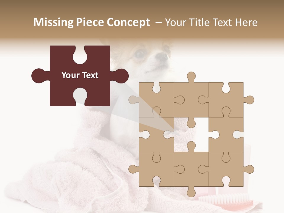 A Small Dog Is Wrapped In A Pink Towel PowerPoint Template