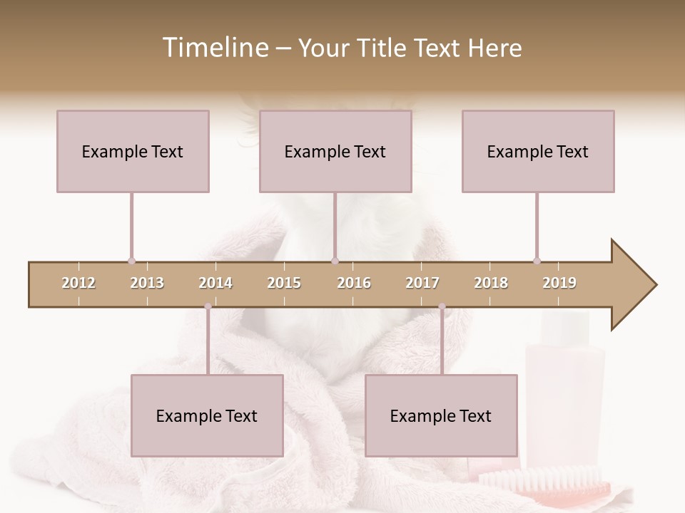 A Small Dog Is Wrapped In A Pink Towel PowerPoint Template